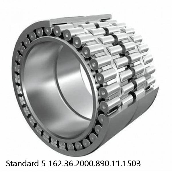162.36.2000.890.11.1503 Standard 5 Slewing Ring Bearings #1 small image