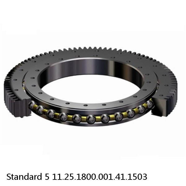 11.25.1800.001.41.1503 Standard 5 Slewing Ring Bearings #1 small image