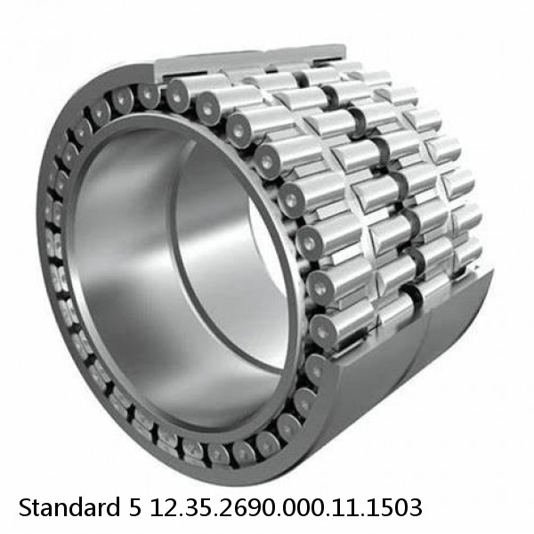 12.35.2690.000.11.1503 Standard 5 Slewing Ring Bearings #1 small image