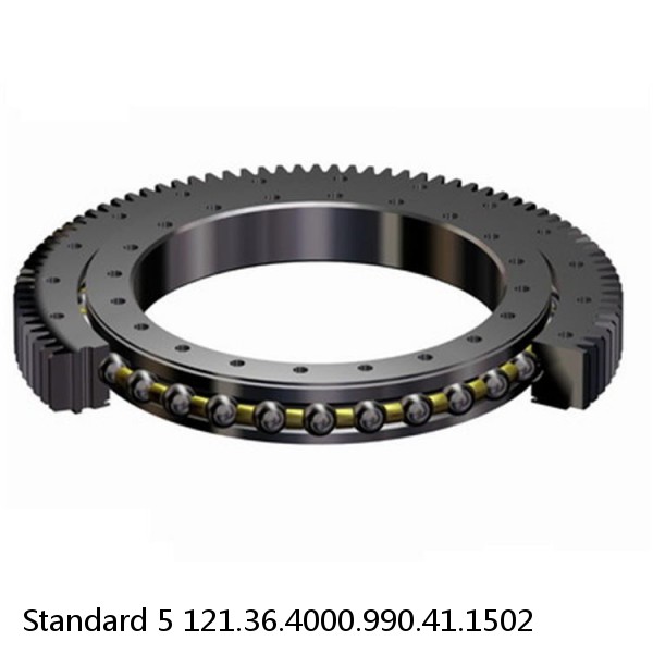 121.36.4000.990.41.1502 Standard 5 Slewing Ring Bearings #1 small image