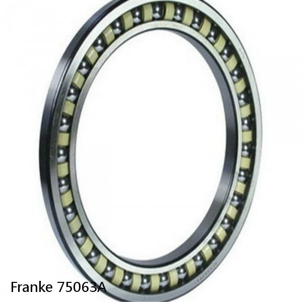 75063A Franke Slewing Ring Bearings #1 small image
