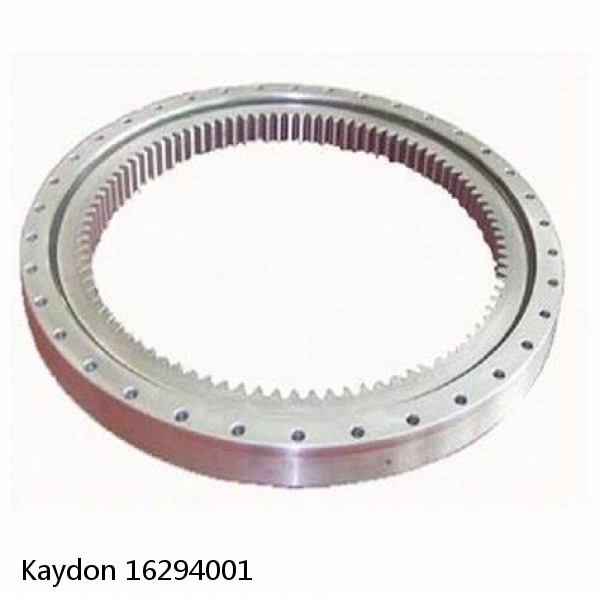 16294001 Kaydon Slewing Ring Bearings