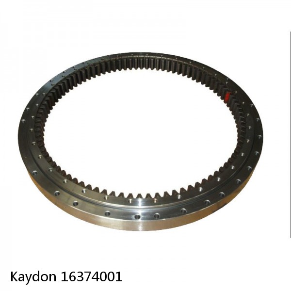 16374001 Kaydon Slewing Ring Bearings #1 small image