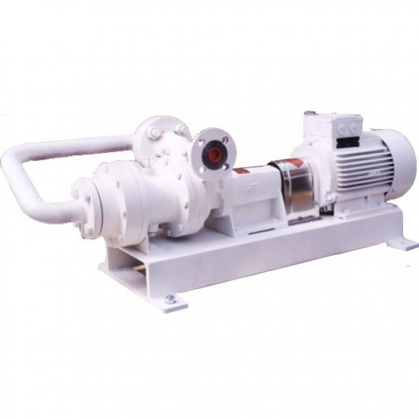 SUMITOMO CQTM54-50FV+15-2-T-M-S1307J-A-200V Double Gear Pump #1 image