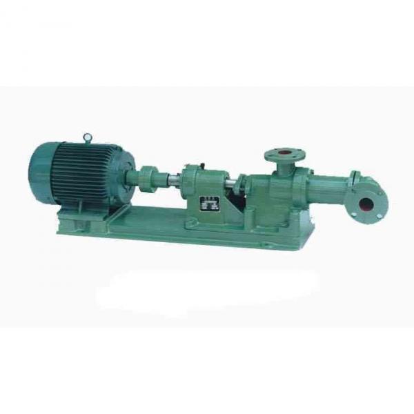 SUMITOMO CQT63-125FV-S1307J-A Double Gear Pump #1 image