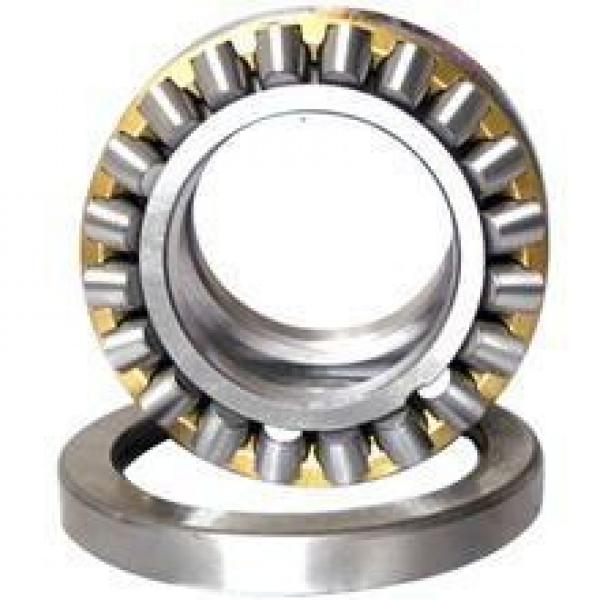 FAG NU321-E-M1  Cylindrical Roller Bearings #1 image
