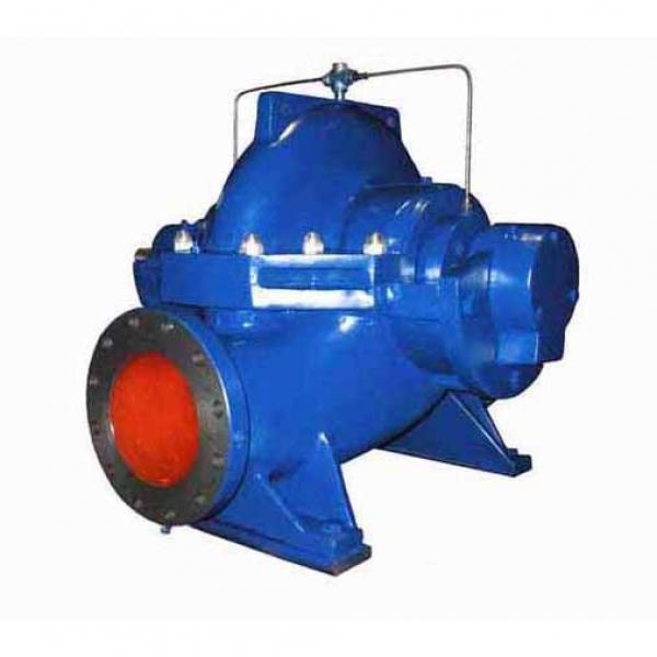 SUMITOMO QT61-250-A Low Pressure Gear Pump #1 image