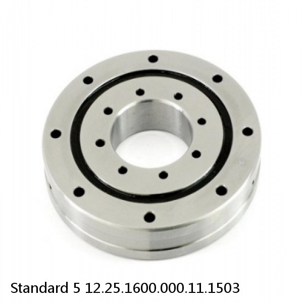 12.25.1600.000.11.1503 Standard 5 Slewing Ring Bearings #1 image