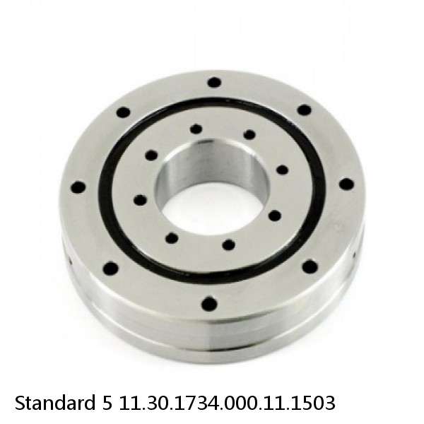 11.30.1734.000.11.1503 Standard 5 Slewing Ring Bearings #1 image