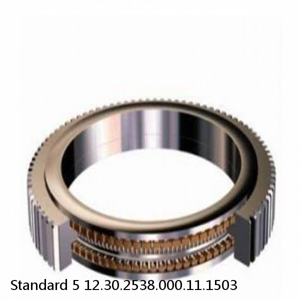 12.30.2538.000.11.1503 Standard 5 Slewing Ring Bearings #1 image