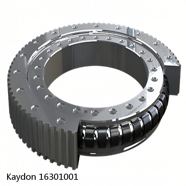 16301001 Kaydon Slewing Ring Bearings #1 image