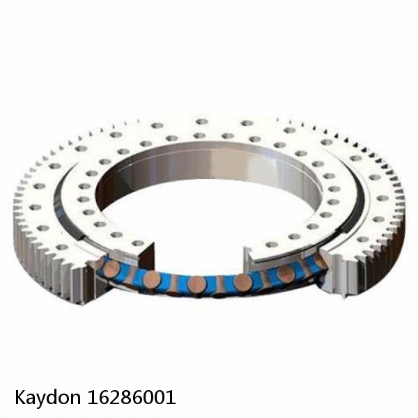 16286001 Kaydon Slewing Ring Bearings #1 image