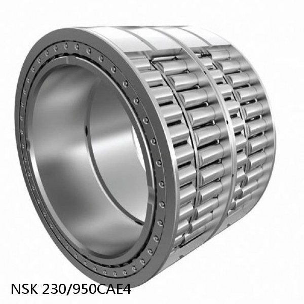 230/950CAE4 NSK Spherical Roller Bearing #1 image